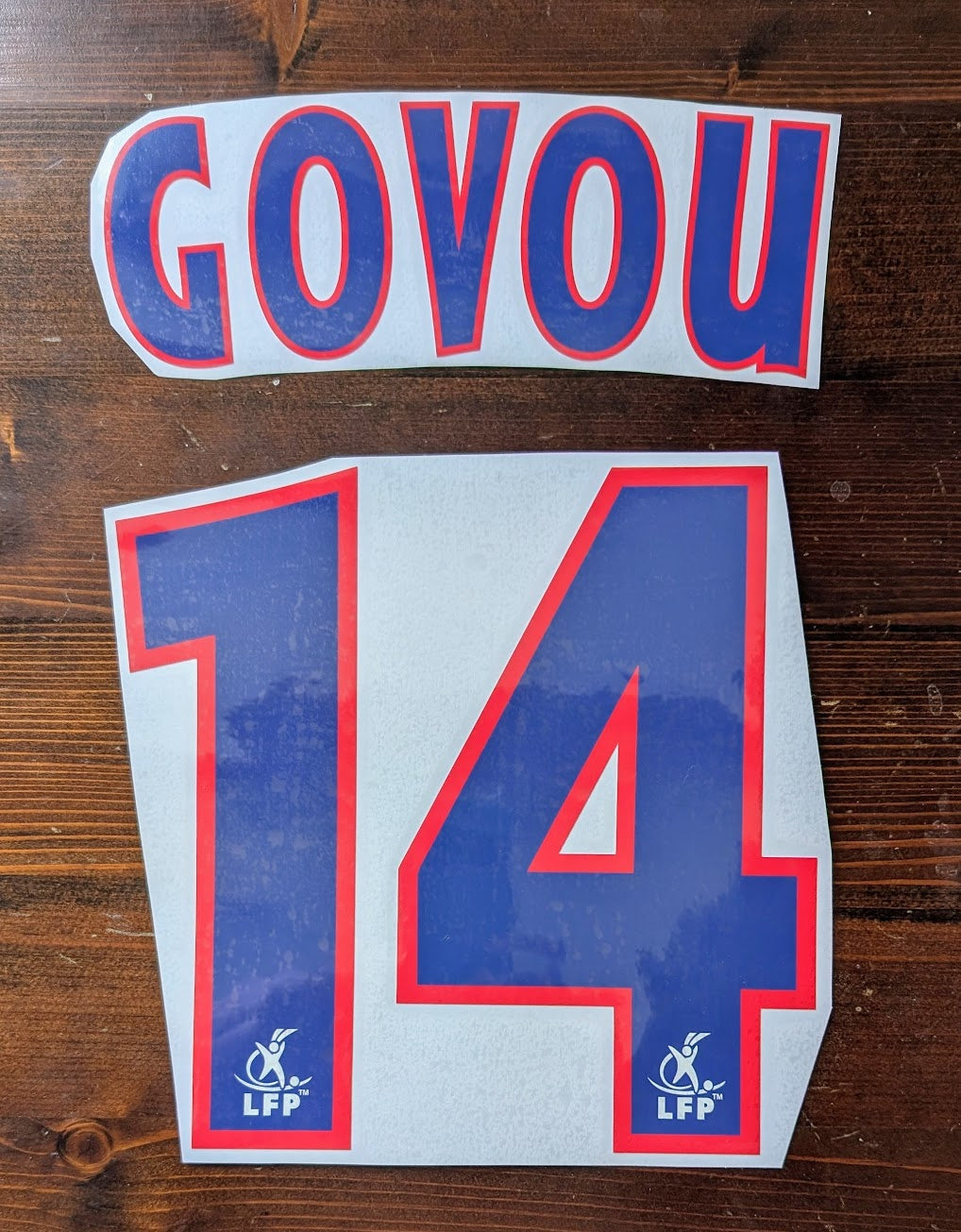 Kit / Flocage Lyon 2002 à 2007 GOVOU #14 Home