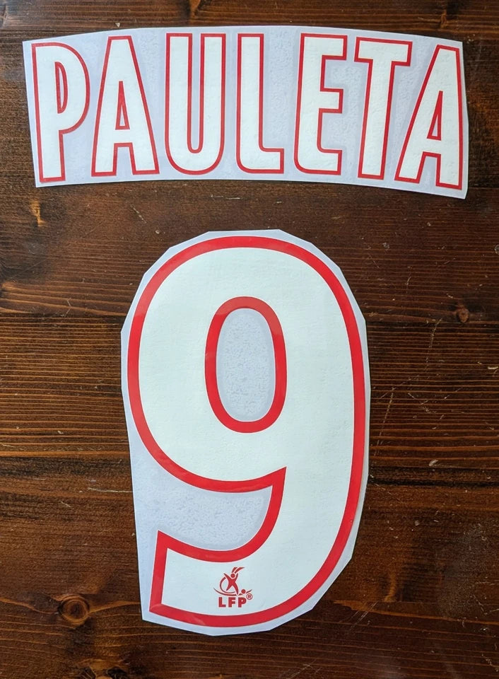 Kit / Flocage Pauleta #9 PSG Home 2007 / 2008